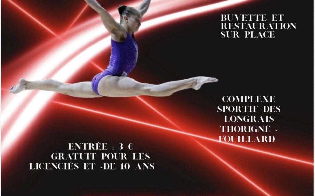 Nos gymnastes font briller le CJF Gym