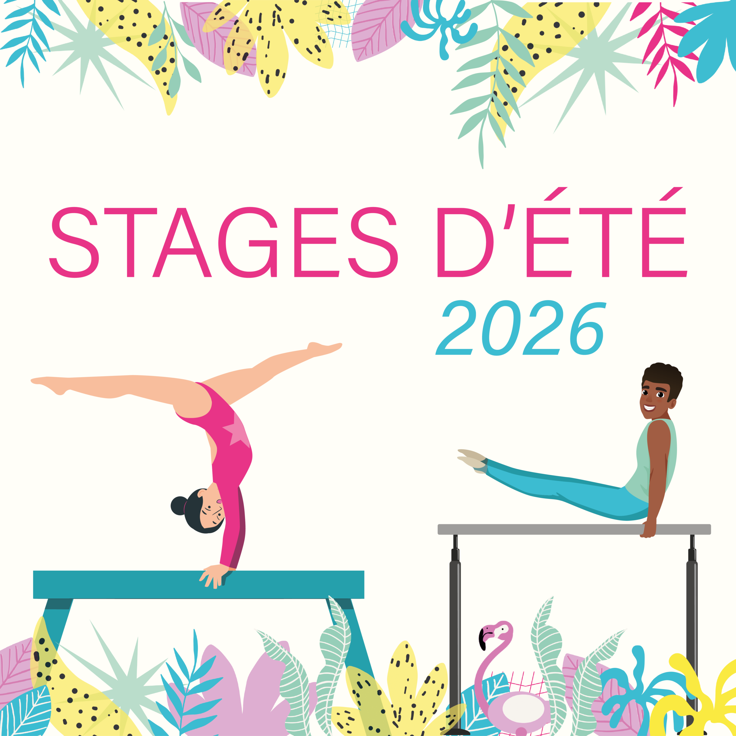 Stage d'été 2026 WEB